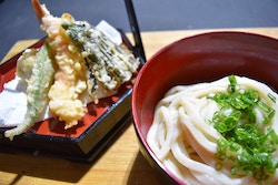 menu_udon